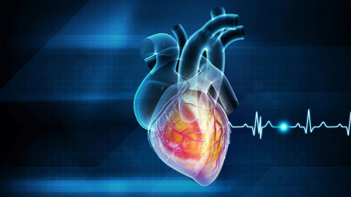 ずっと飲まれてた心臓の薬、実はあんまり効果なくてリスクも？