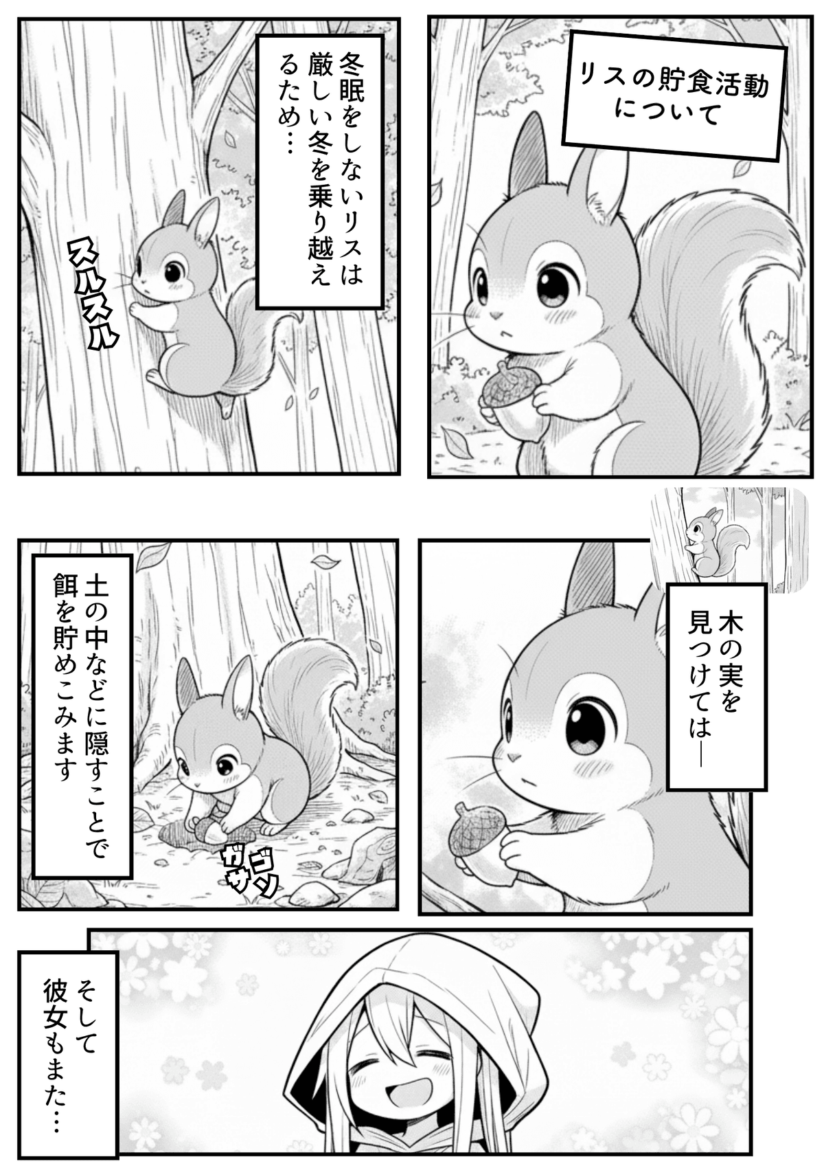 プレビュー