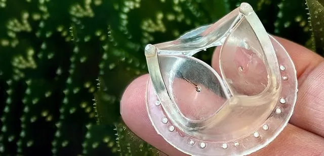 新素材プラスチックの人工心臓弁、半年間の羊テストで安全性が確認されたって話