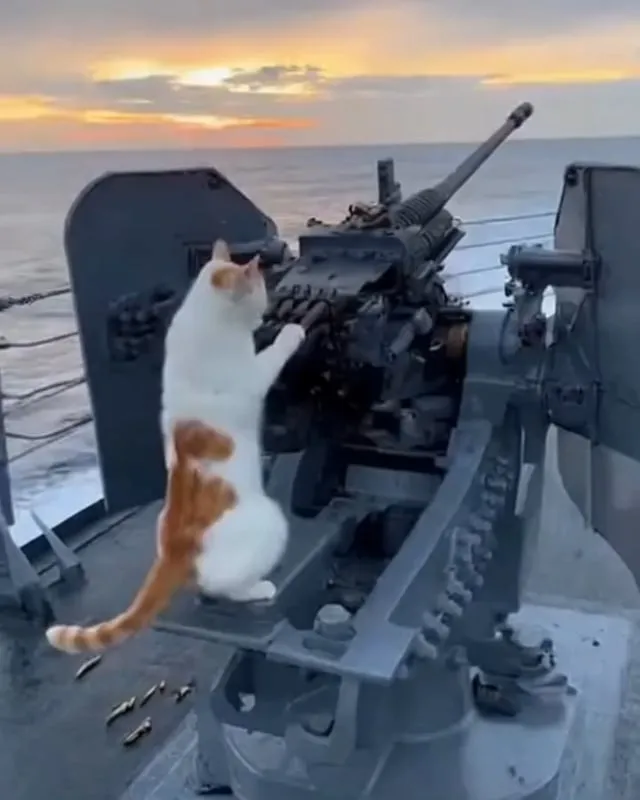 Moments That Make You Want to Shout, 'Somebody Stop This Car!' 😱