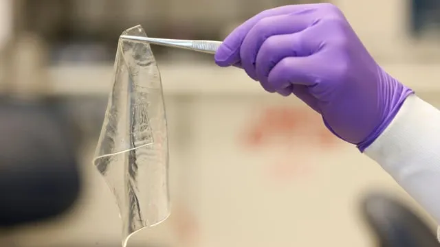 薬の効果を長〜くキープ！20倍ゆっくり放出する新しいハイドロジェルって？