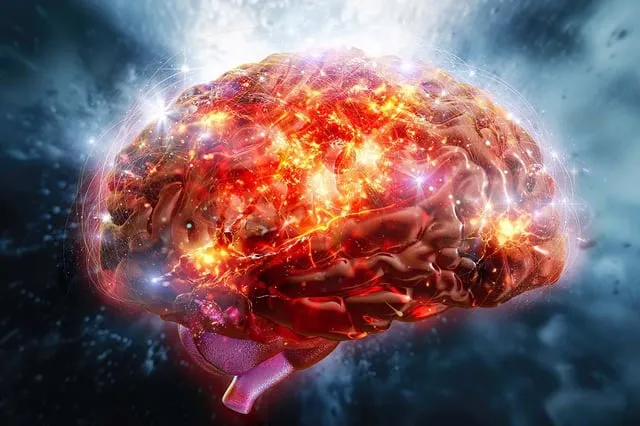 若い免疫細胞が示すかもしれない「脳の若返り」へのヒント