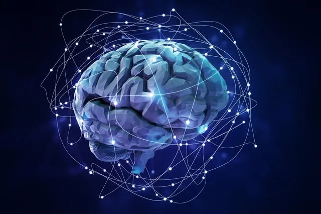 脳の情報は「タイミング」が大事？信号が間に合わないと意味がないって話